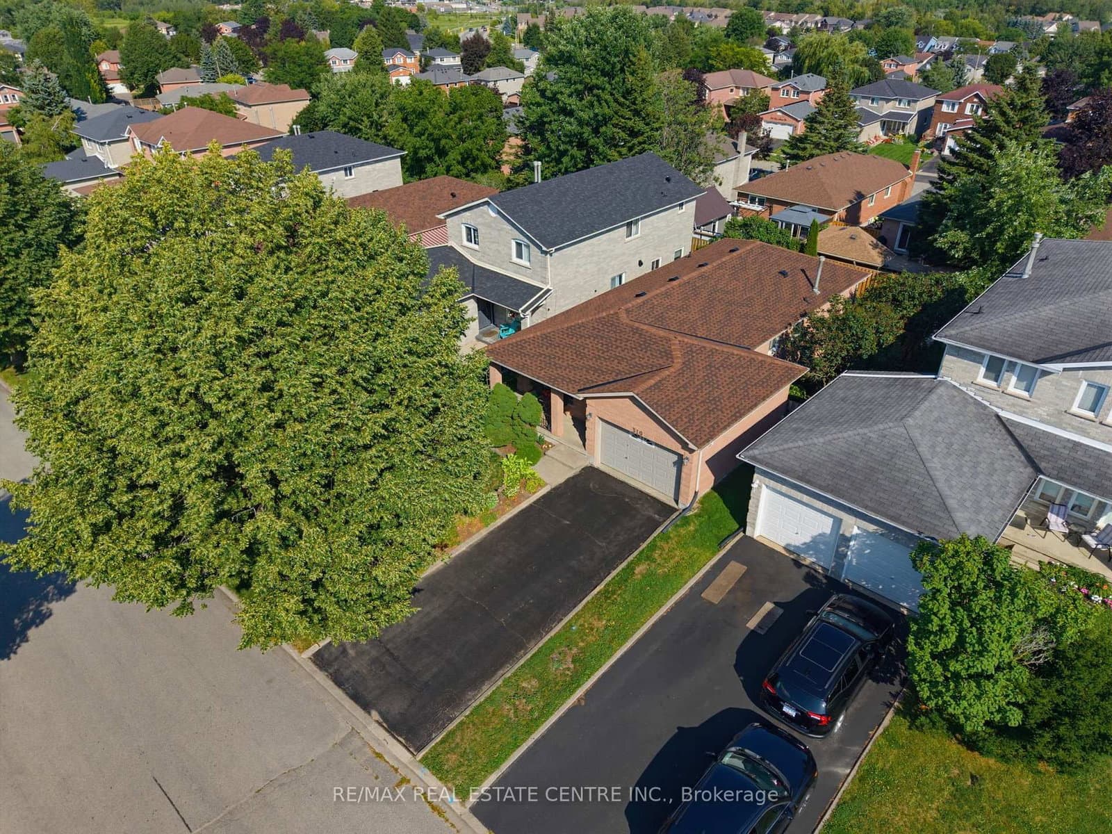 310 Bailey Drive thumbnail 2