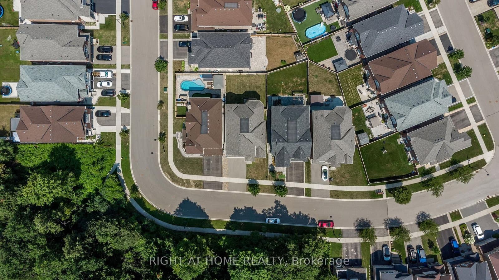 8 Monarch Drive thumbnail 45