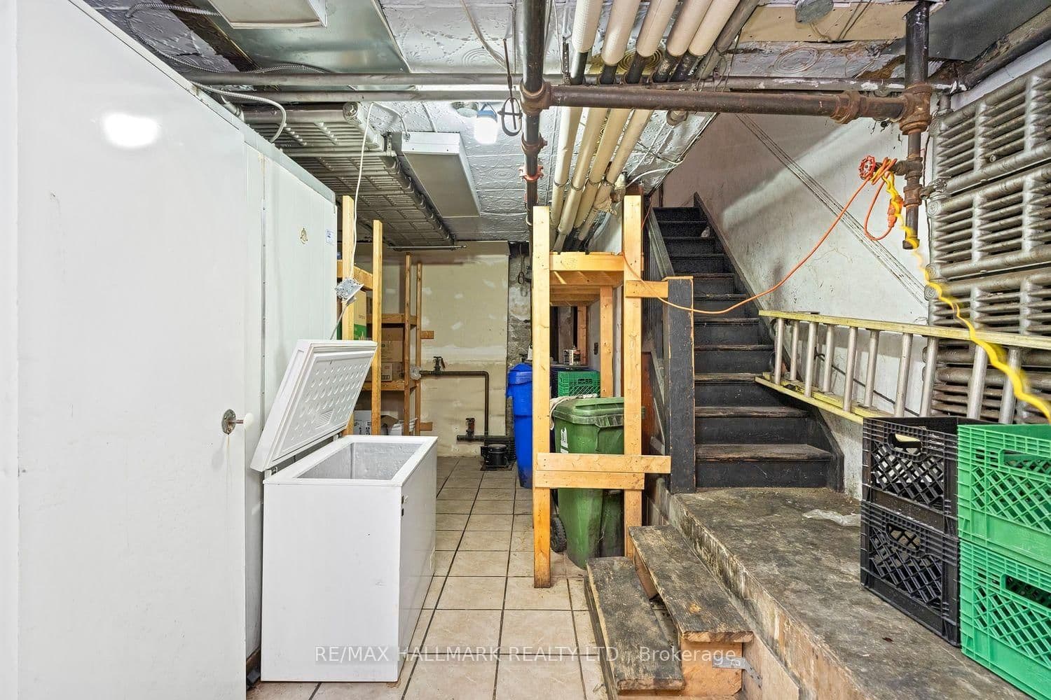 523 Annette Street thumbnail 23