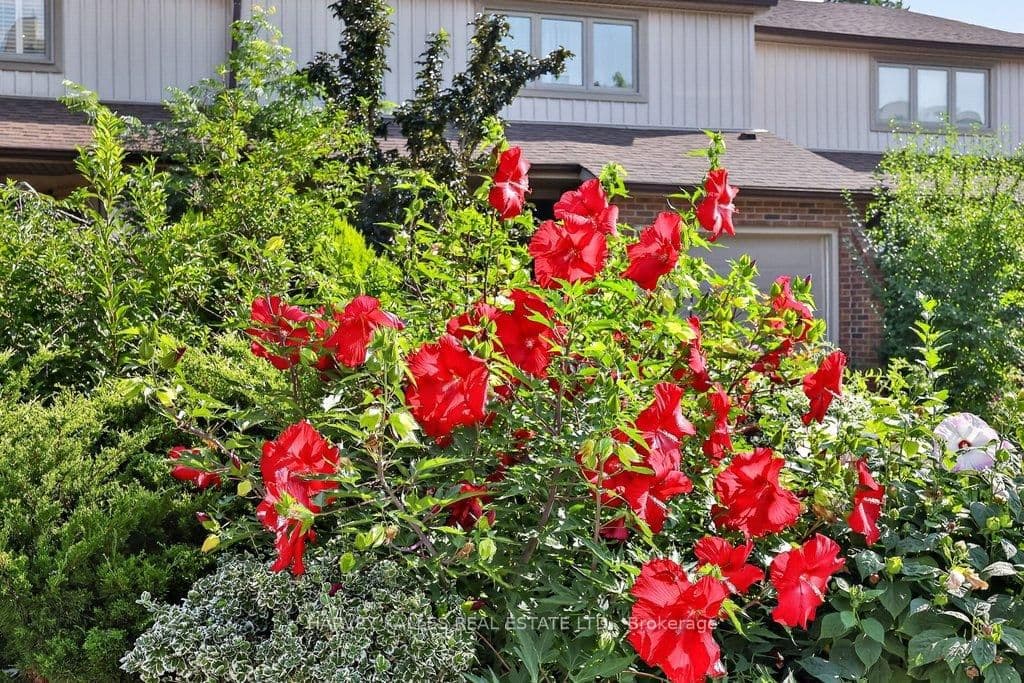 1160 Walden Circle, Unit 1 thumbnail 50