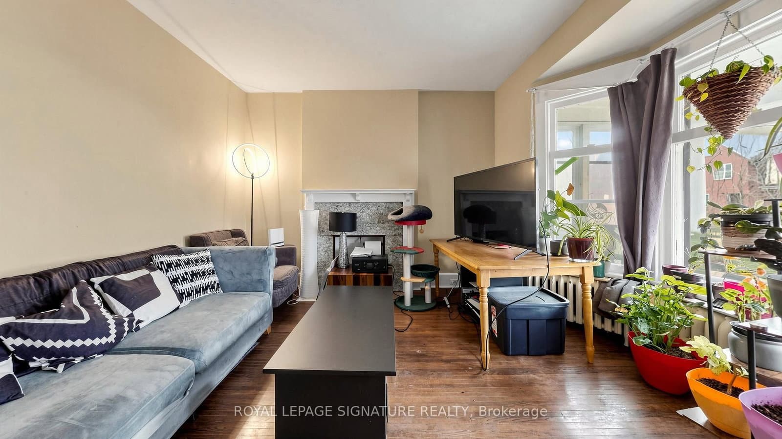 132 Marion Street thumbnail 4