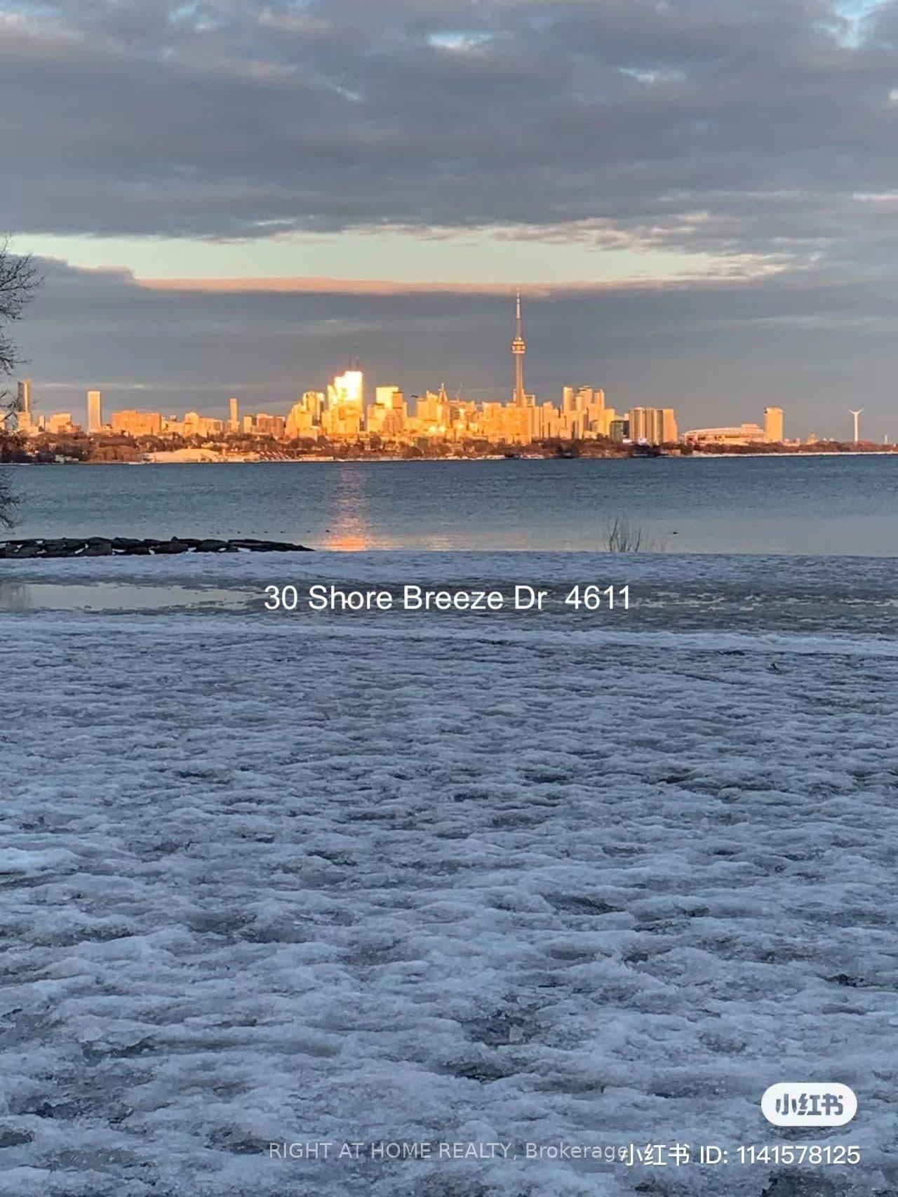 30 Shore Breeze Drive, Unit 4611 thumbnail 23