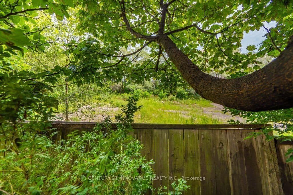 3071 Treadwells Drive, Unit 13 thumbnail 48