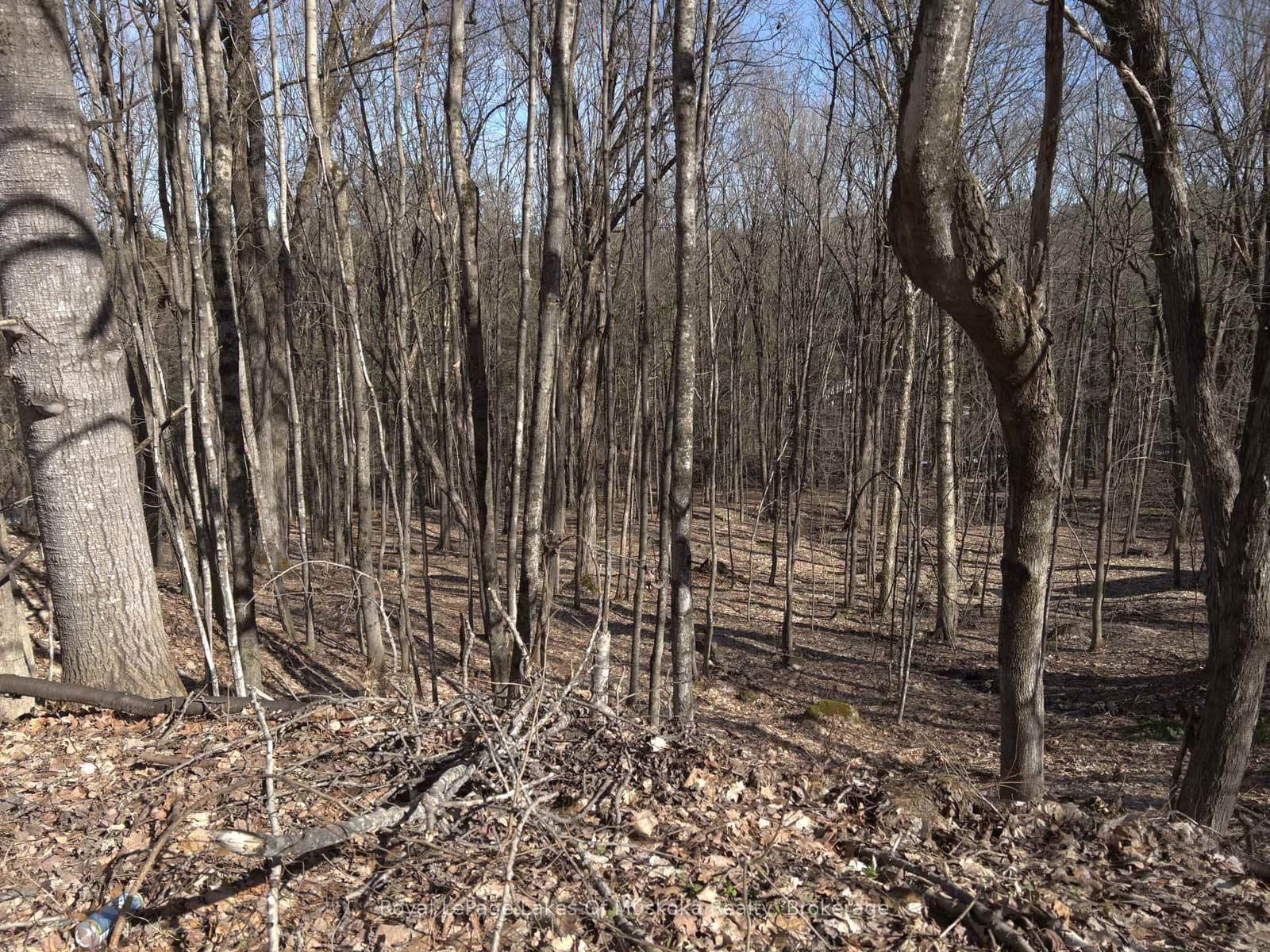 0 SOUTH MUSKOKA Drive - Image 1