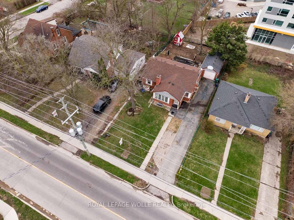 291 Albert Street thumbnail 5