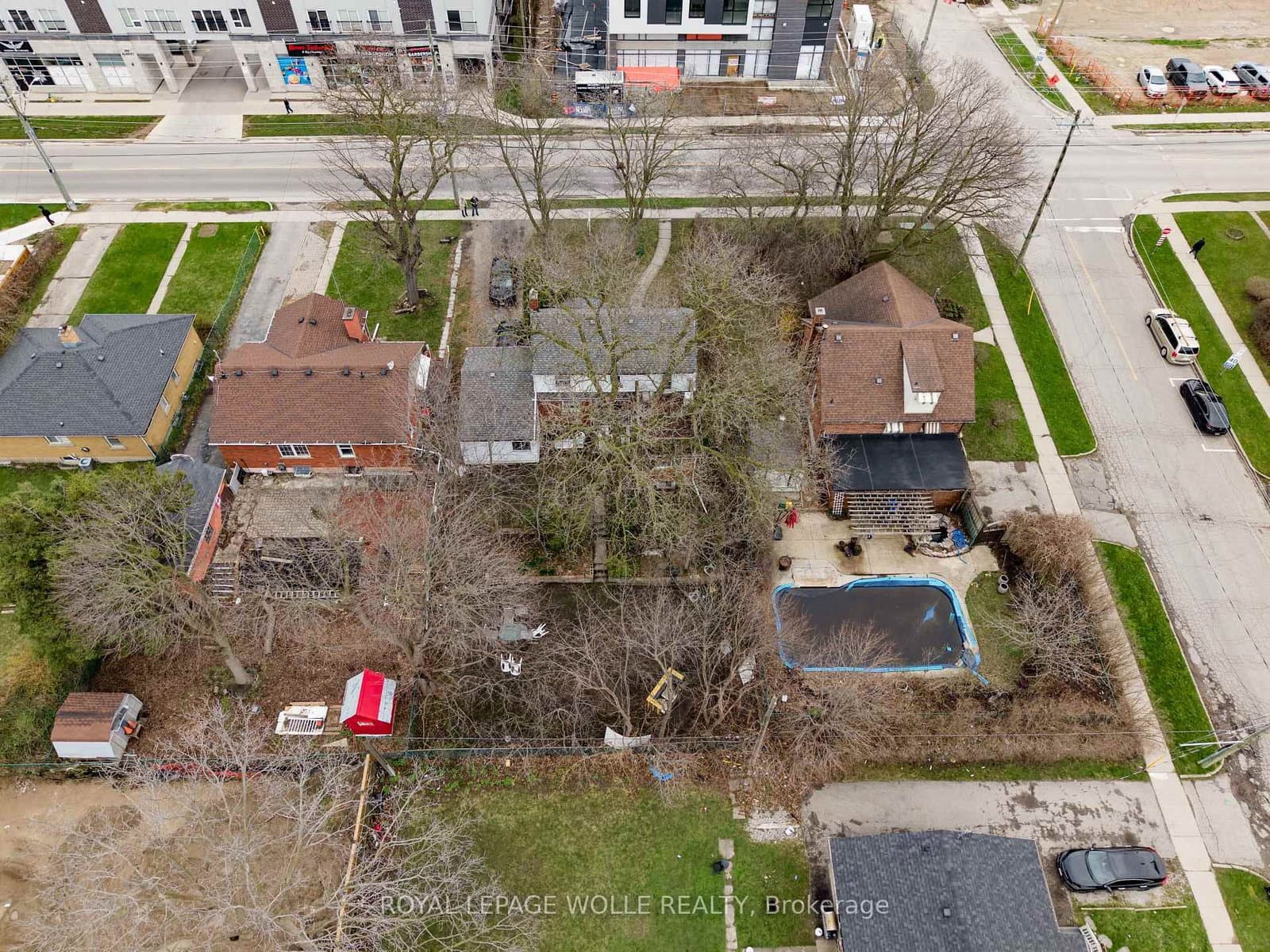 291 Albert Street thumbnail 9