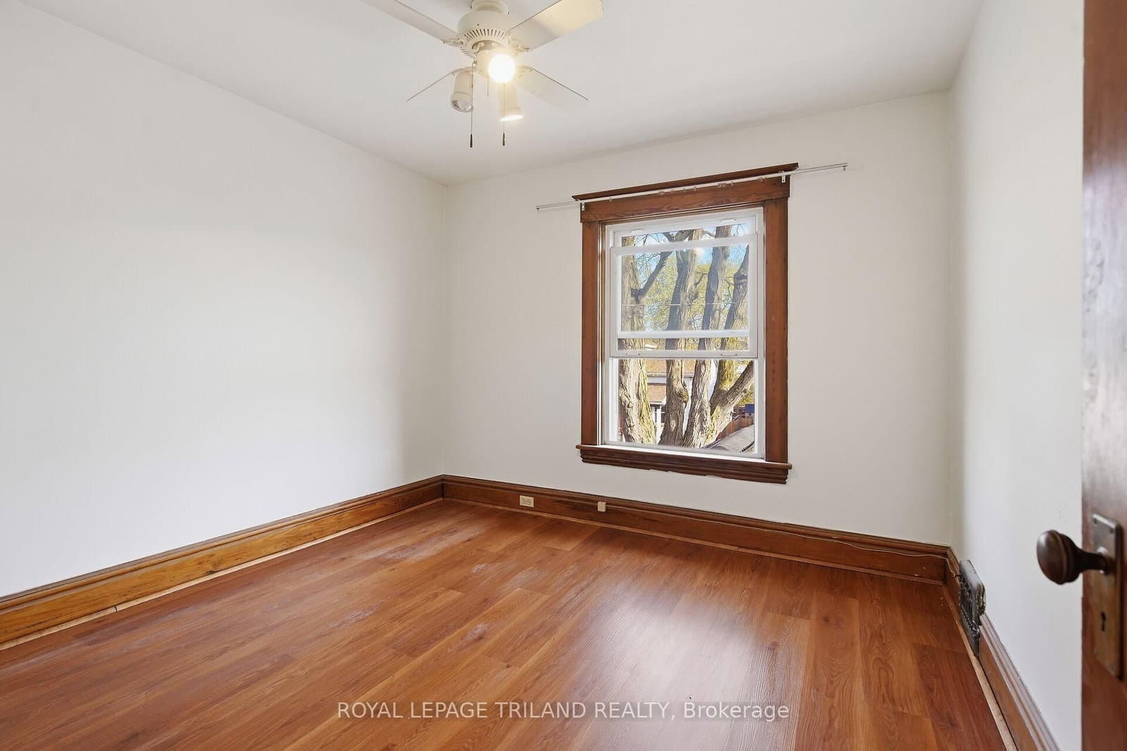 22 Mitchell Street, Unit 1 thumbnail 7