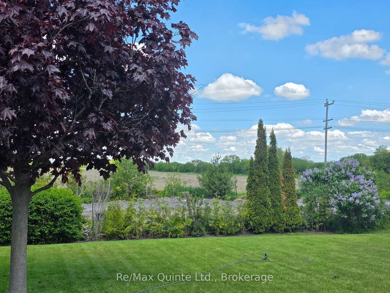 46 Lake Breeze Court thumbnail 36