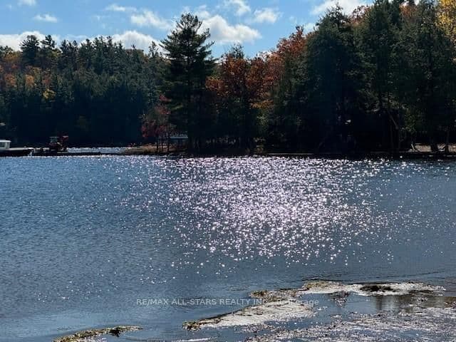 1869 Muskoka Road 118, Unit 31 thumbnail 6