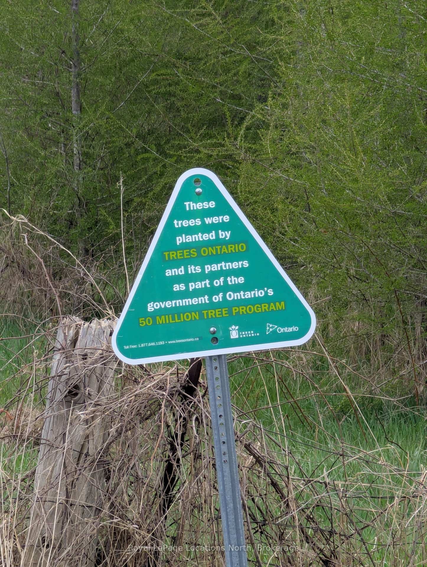 125552 13 Side Road thumbnail 43