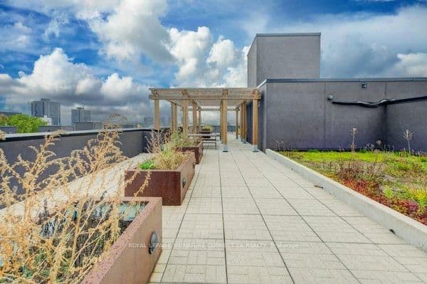 250 Albert Street, Unit 203 thumbnail 6