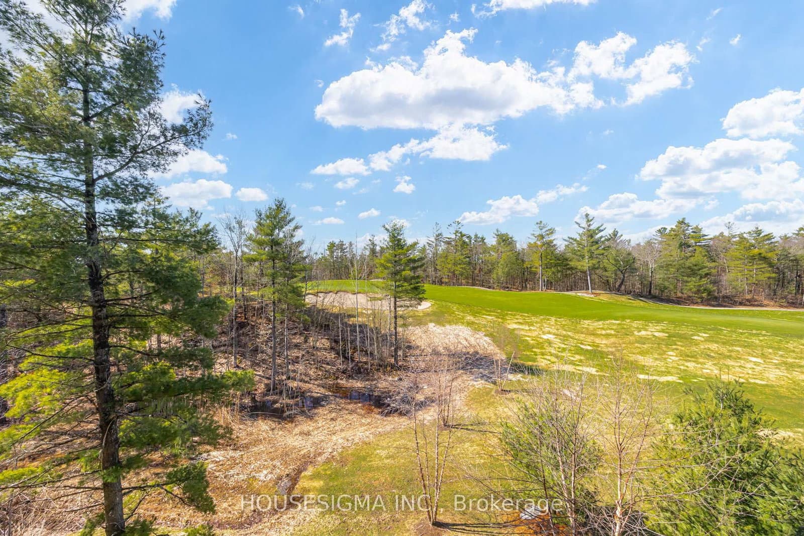 120 Carrick Trail, Unit 313 thumbnail 31
