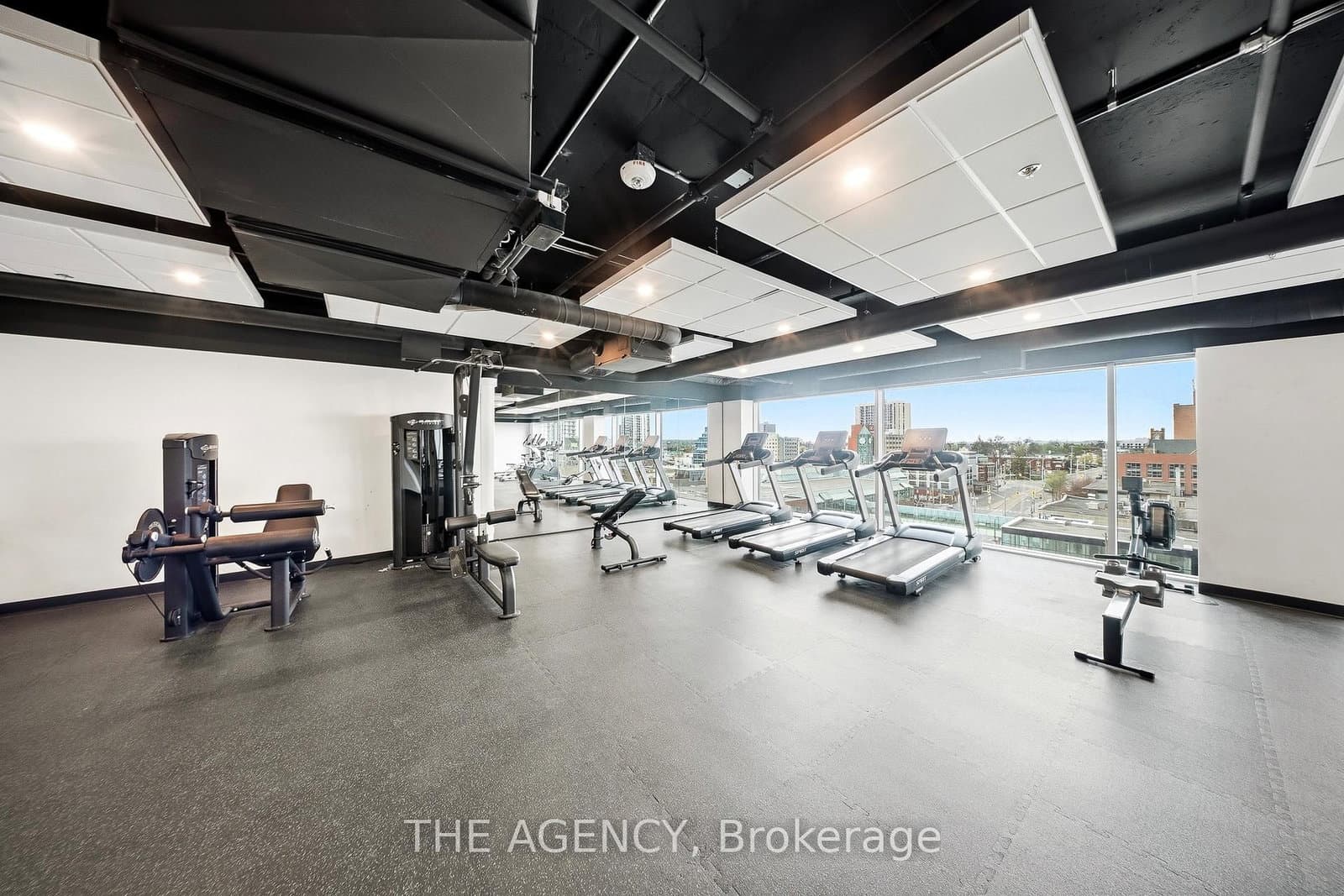 60 Frederick Street, Unit 1113 thumbnail 20