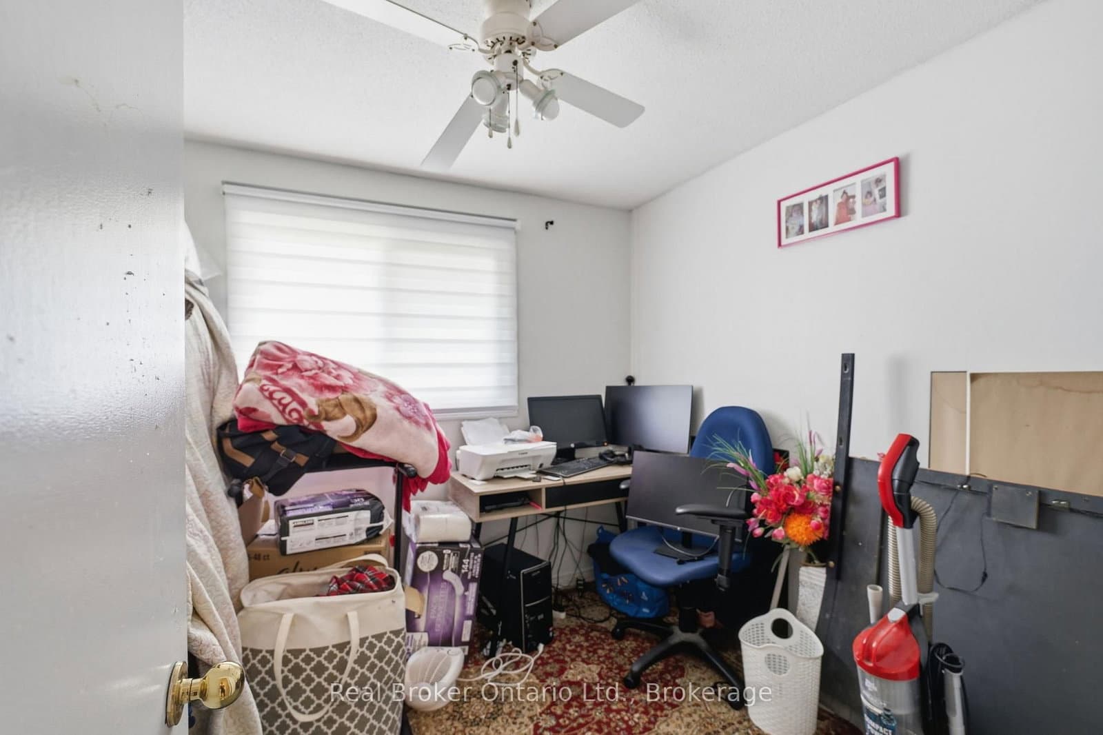 126 Dinison Crescent thumbnail 17