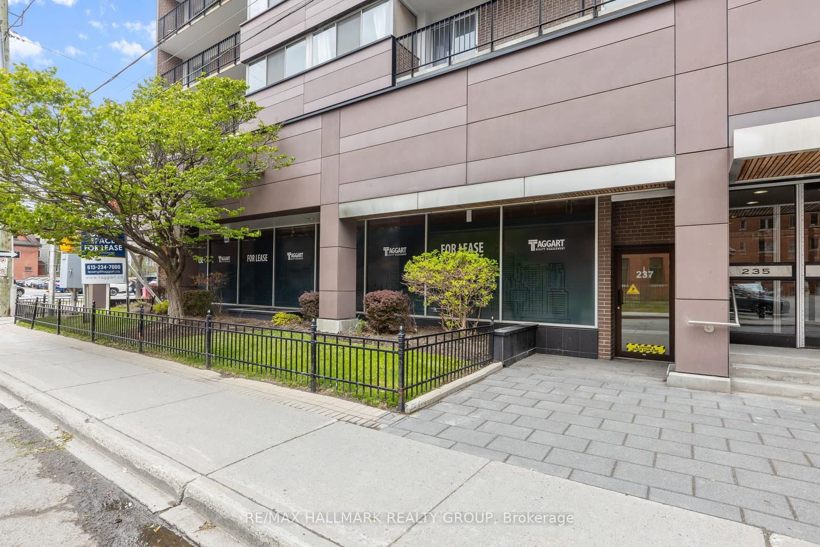 237 Somerset Street W thumbnail 2