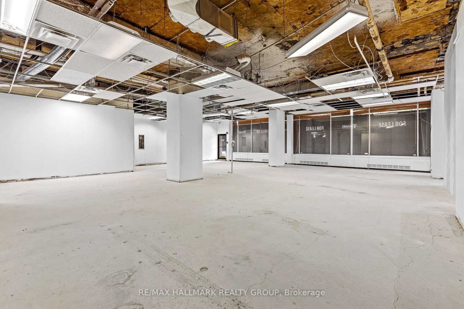 237 Somerset Street W thumbnail 4