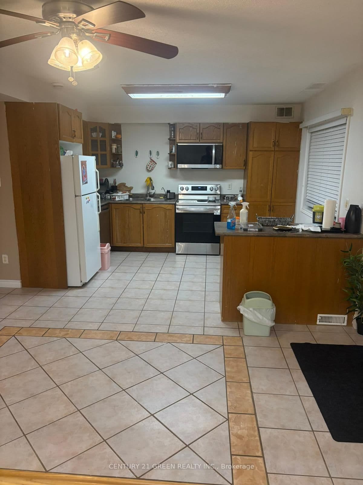17 JEAN ANDERSON Crescent, Unit LOWER thumbnail 5