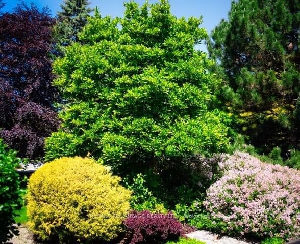 44 Northcrest Drive thumbnail 49