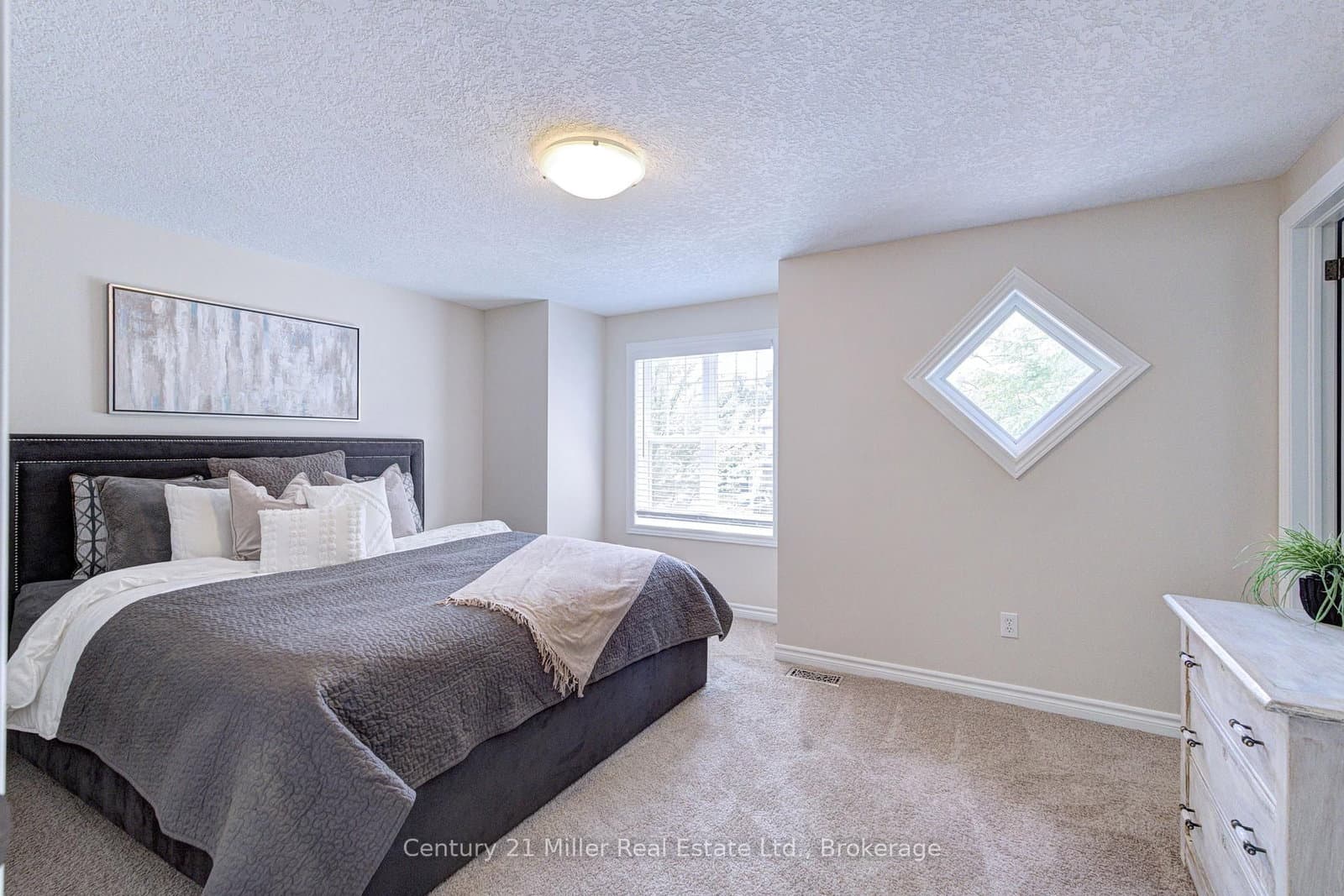 282 Carrington Drive thumbnail 15