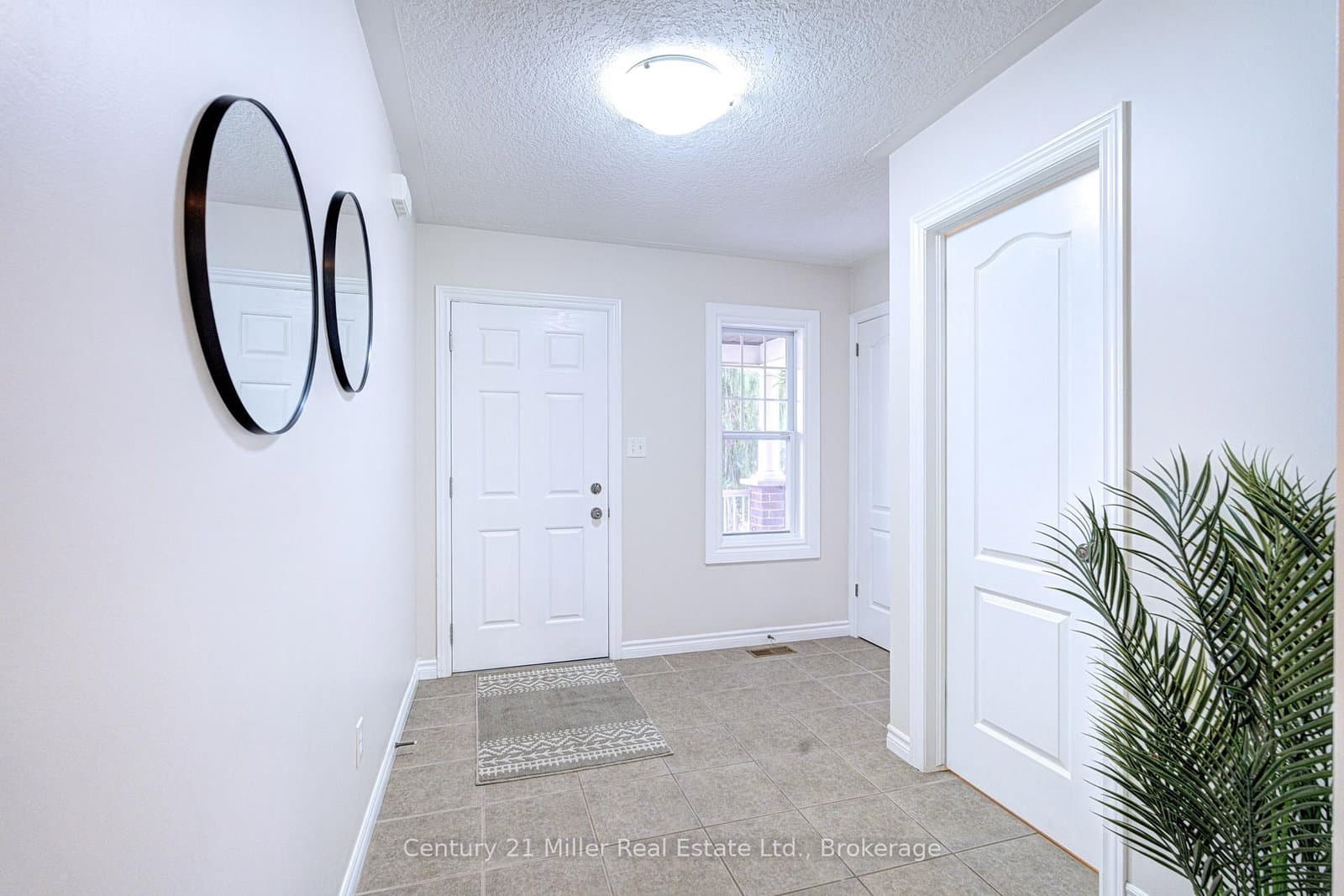 282 Carrington Drive thumbnail 4