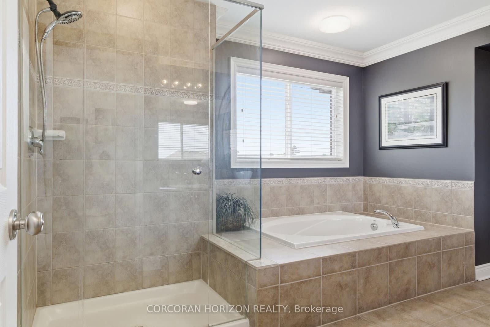 905 Marigold Court thumbnail 35