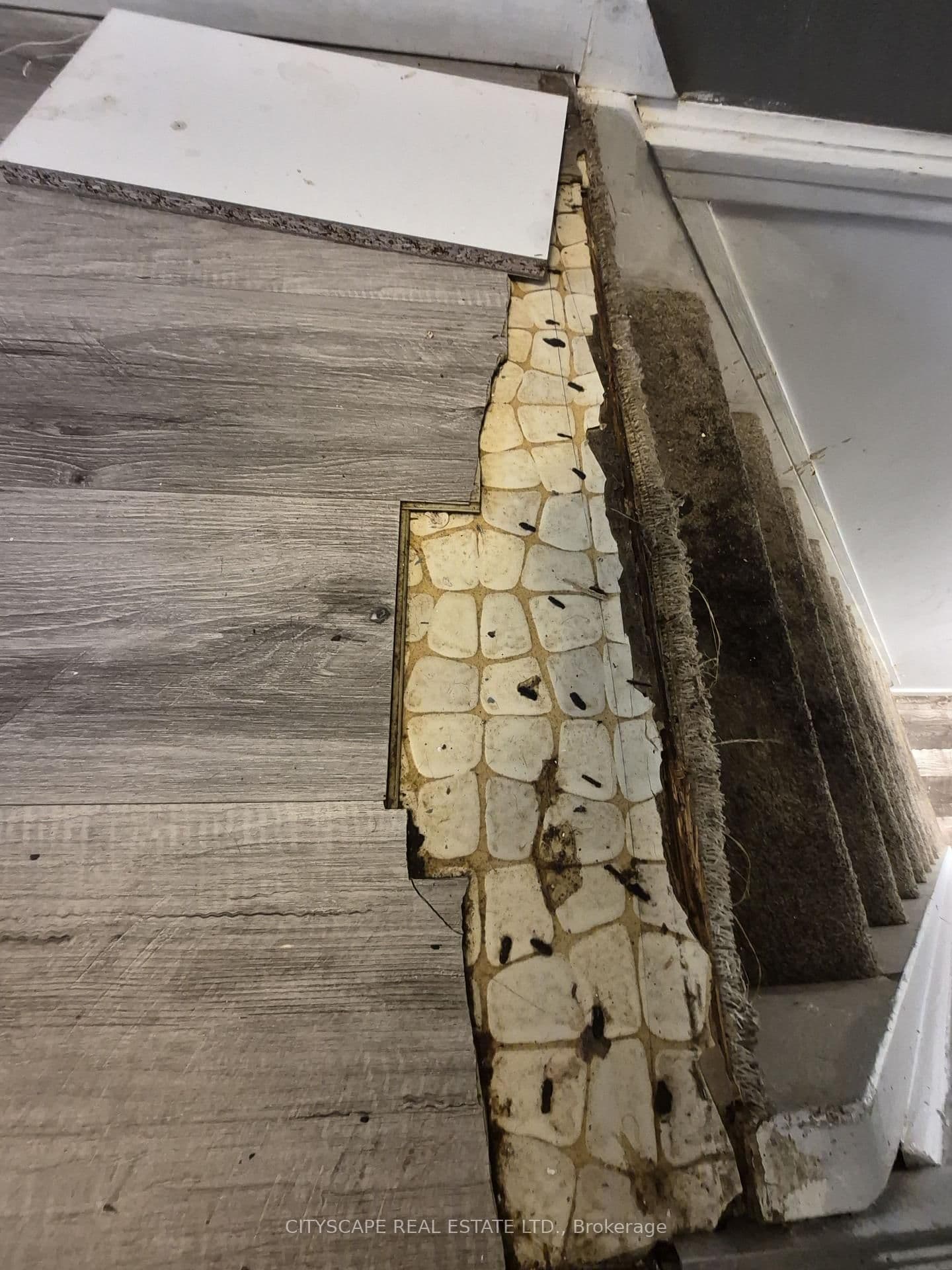 850 Berkshire Drive, Unit 8 thumbnail 30