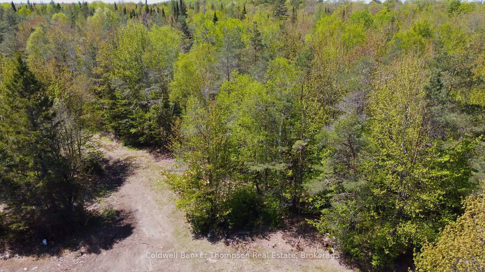224 Madill Road thumbnail 6