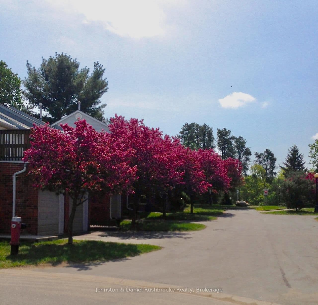39 Shoreline Drive thumbnail 38