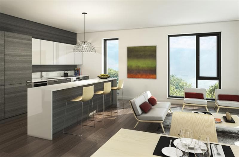 DUKE Condos thumbnail 9