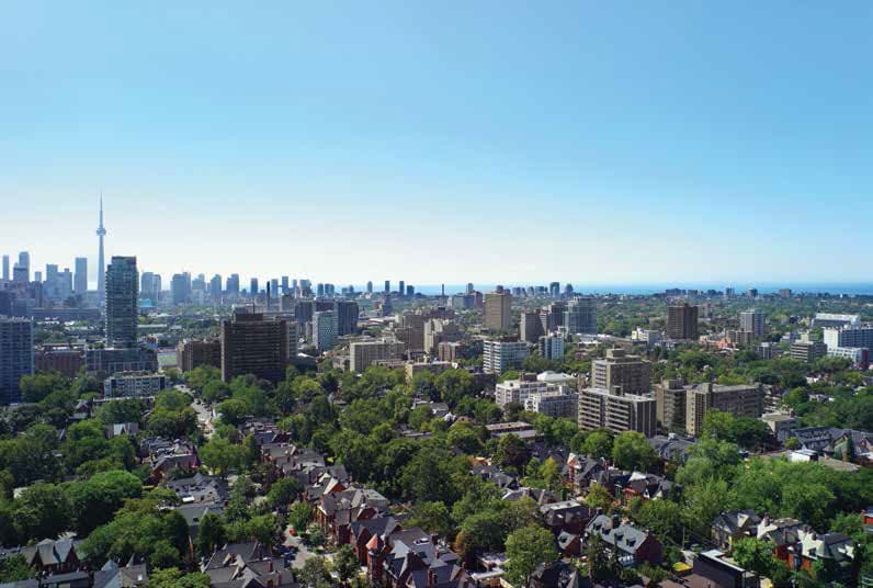 AYC – Annex Yorkville Connection thumbnail 8