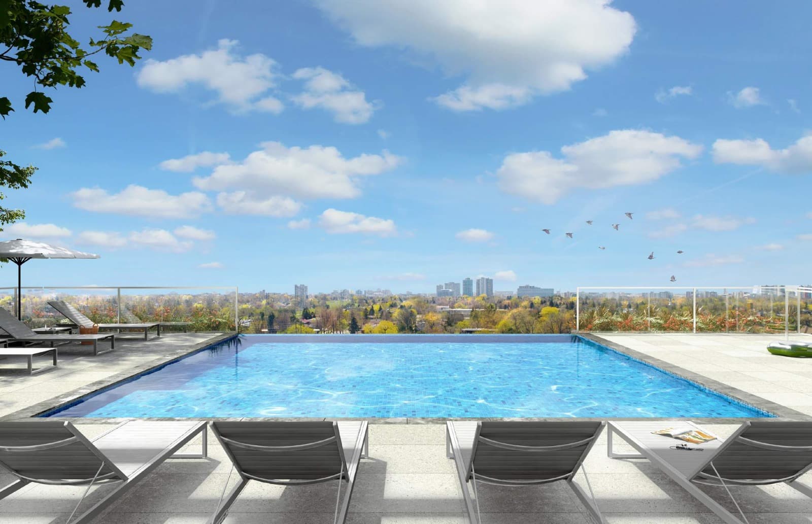 T1 at M2M Condos thumbnail 8