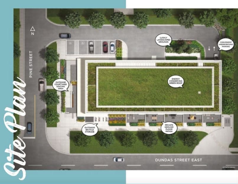 The Charlotte Condos thumbnail 6