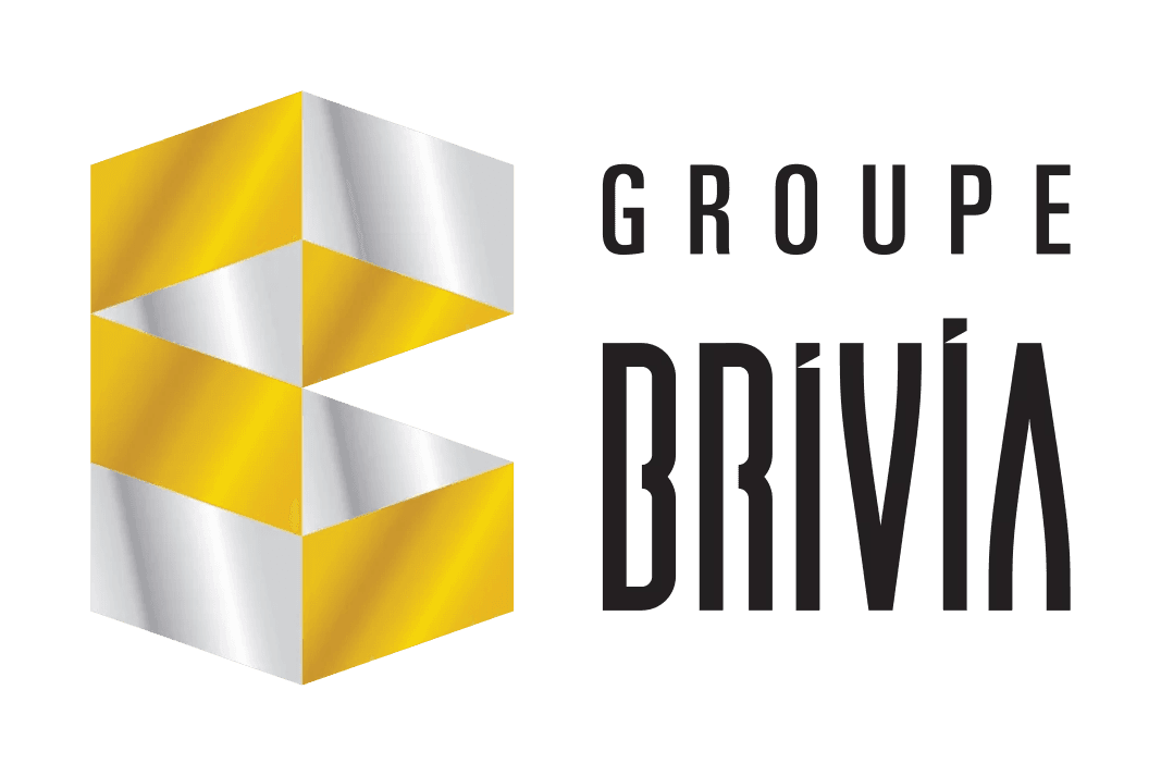 Brivia Group logo